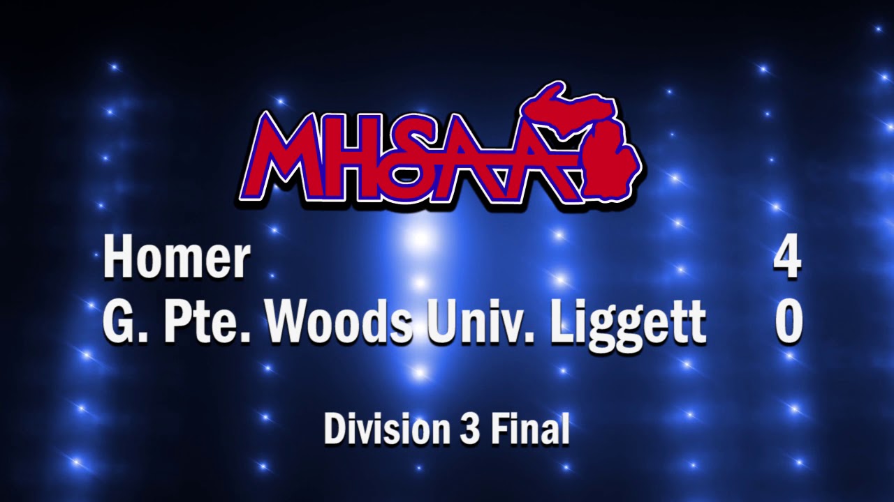 Lake Mary Little League boy, girls on championship run