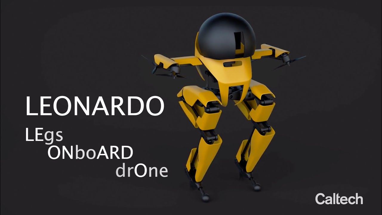 Leo – the walking, flying and skateboarding robot