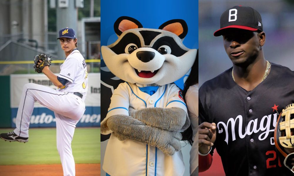 Minor league baseball