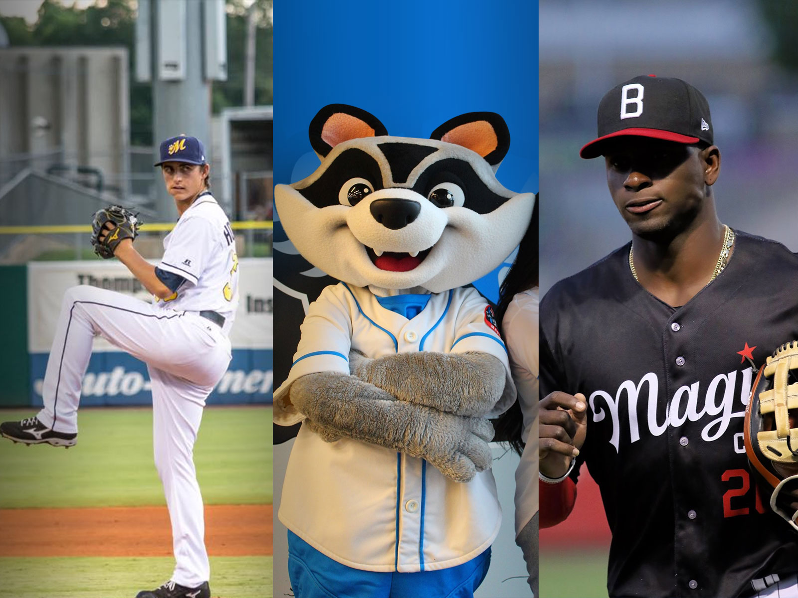 Minor league baseball