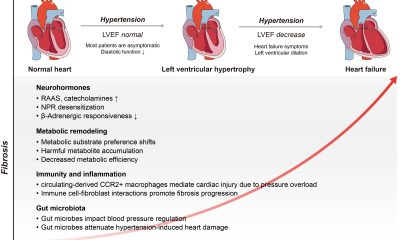NIL changes everything; UA adjusts