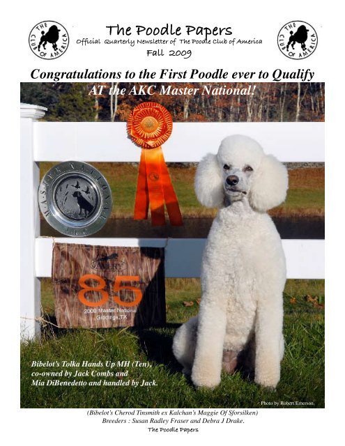 Sod Poodles to support Hill Country with league fundraising program