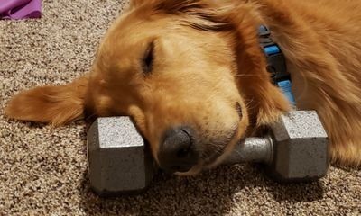 THE FRONT ROW with MARK NELKE