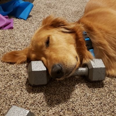 THE FRONT ROW with MARK NELKE