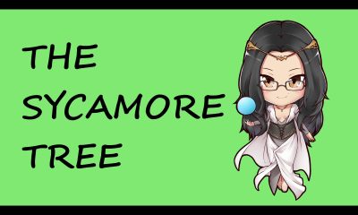 The Sycamore Sitdown