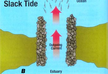 Tides Announce 2026 Schedule
