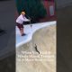 Ungrateful Skunk Steals Skateboard After Being Saved From Skate Bowl