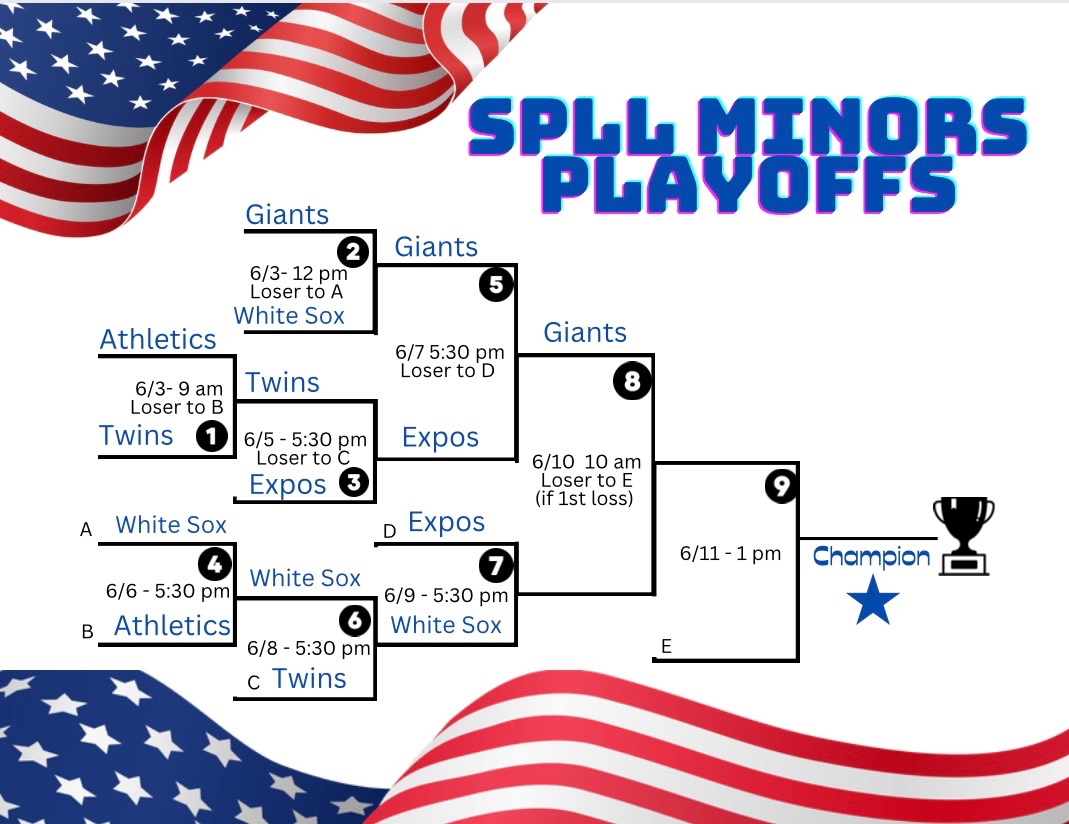 White Sox Minor League Update