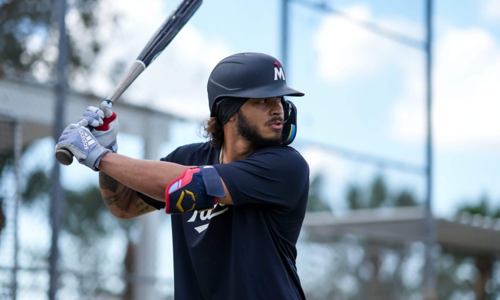 Why Gabriel Gonzalez is the Hitting Prospect the Twins Have Been Waiting For