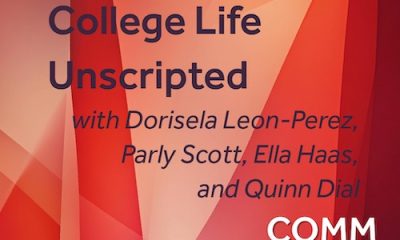 WNBA issues statement about arena safety in midst of sex toy trend