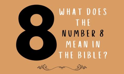 Women's Soccer Falls in Opener, 8