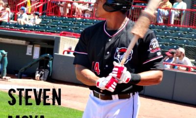 You can bring your cat to Erie's minor league baseball ballpark for this game promotion