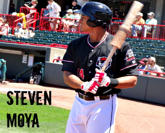 You can bring your cat to Erie's minor league baseball ballpark for this game promotion