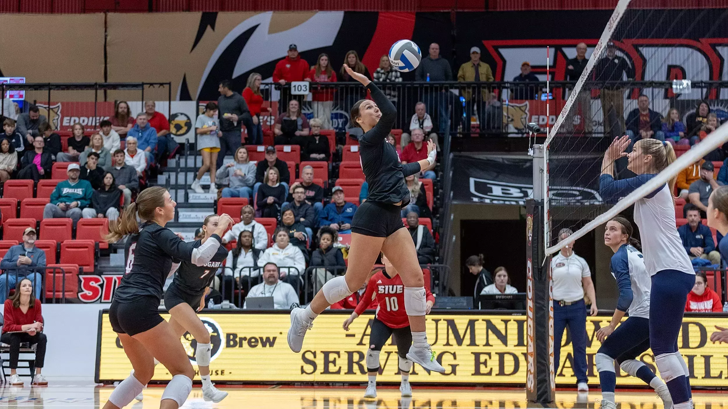 OVC Women's Soccer Report