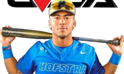Pelcher Added To Hofstra Baseball Staff