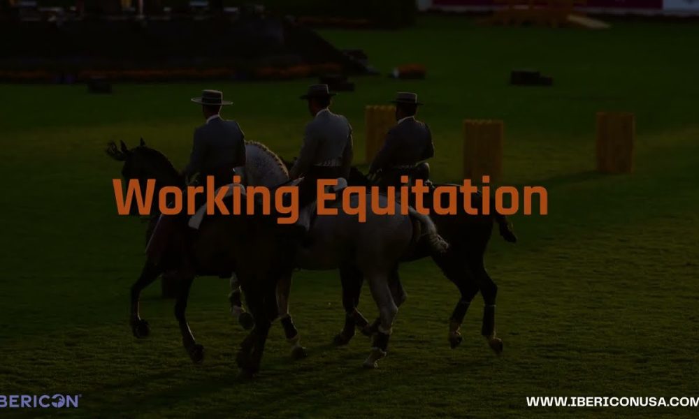 USPRE Week 2025 at the Heart of Ibericon