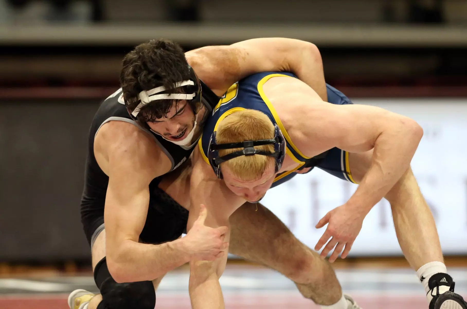 Wheeling Men's Soccer Battles Before Falling in Season Opening Match with CAL