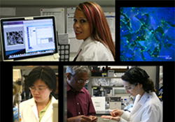 Women's Soccer vs Swarthmore College on 8/31/2025